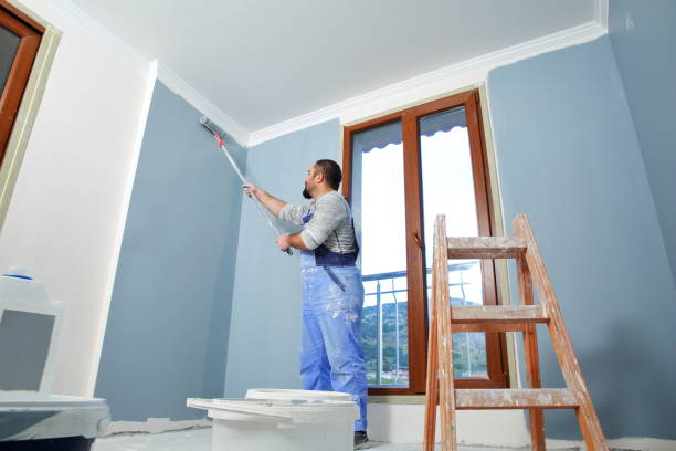 Best Commercial Painting  in Arcola, IL